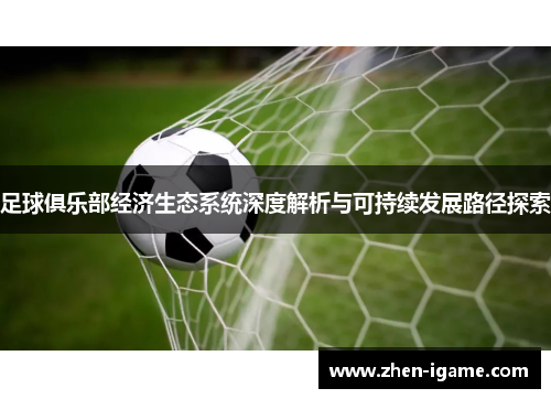 足球俱乐部经济生态系统深度解析与可持续发展路径探索