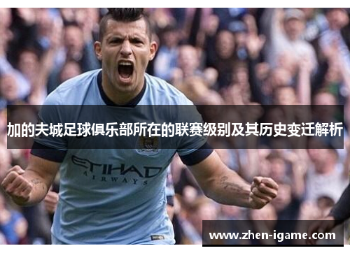 加的夫城足球俱乐部所在的联赛级别及其历史变迁解析