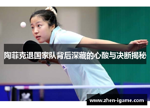 陶菲克退国家队背后深藏的心酸与决断揭秘