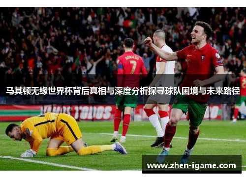 马其顿无缘世界杯背后真相与深度分析探寻球队困境与未来路径