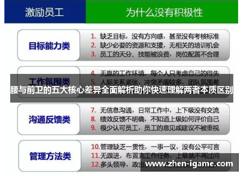 腰与前卫的五大核心差异全面解析助你快速理解两者本质区别